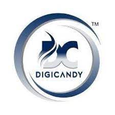 Digicandy Background Verification Check