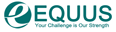 EQUUS ICT SERVICES Background Verification Check